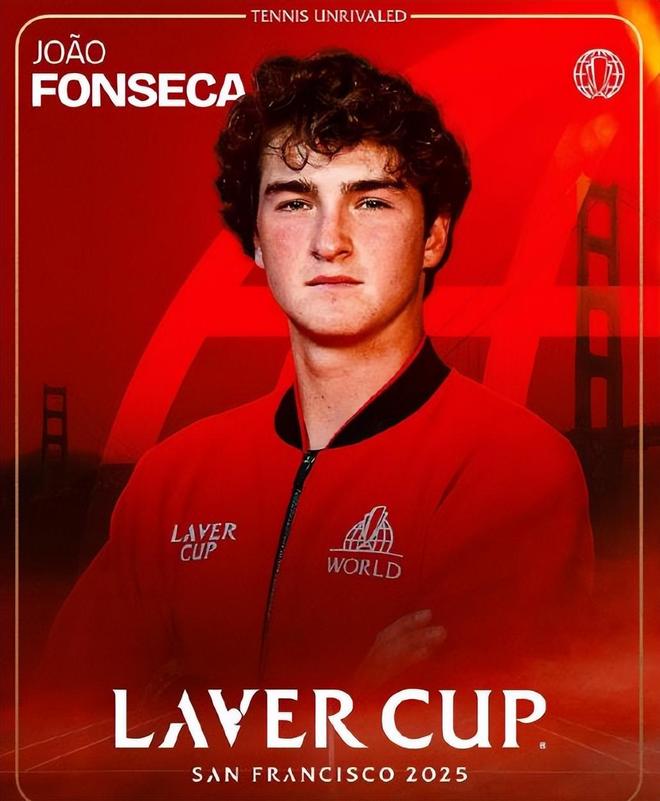 供了不可或 供了不可或